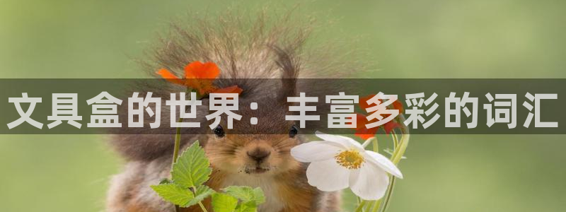 龙八国际app客户端经济区：文具盒的世界
