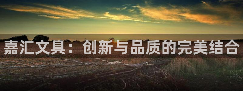 龙八国际在线玩：嘉汇文具：创新与品质的完