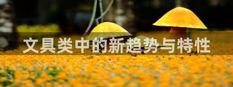 龙八国际app怎么下载：文具类中的新趋势