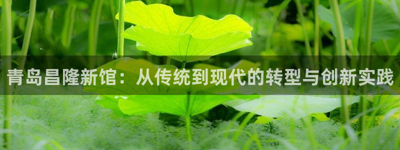 龙八国际平台真人游戏：青岛昌隆新馆：从传