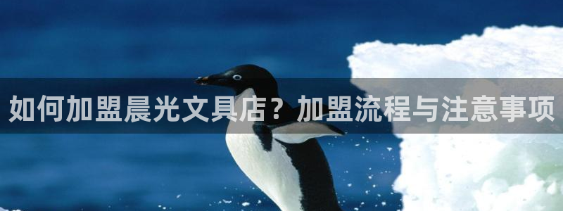 龙八国际网站手机版：如何加盟晨光文具店？