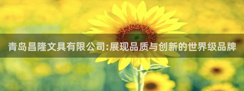 龙八国际平台可靠吗：青岛昌隆文具有限公司