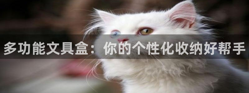 龙八国际娱乐下载：多功能文具盒：你的个性
