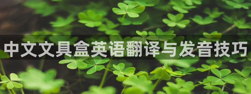 龙八国际游戏娱乐：中文文具盒英语翻译与发