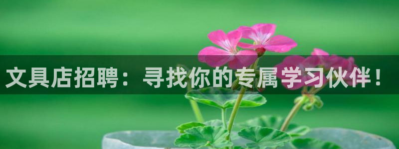 龙八国际服官网下载：文具店招聘：寻找你的