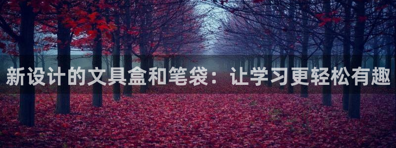 怎么举报龙八国际：新设计的文具盒和笔袋：