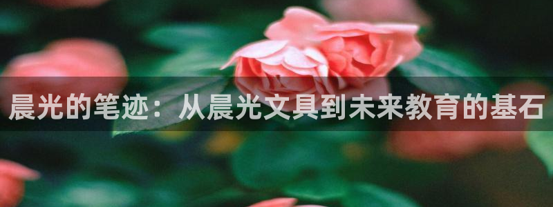 龙八国际网页登录：晨光的笔迹：从晨光文具