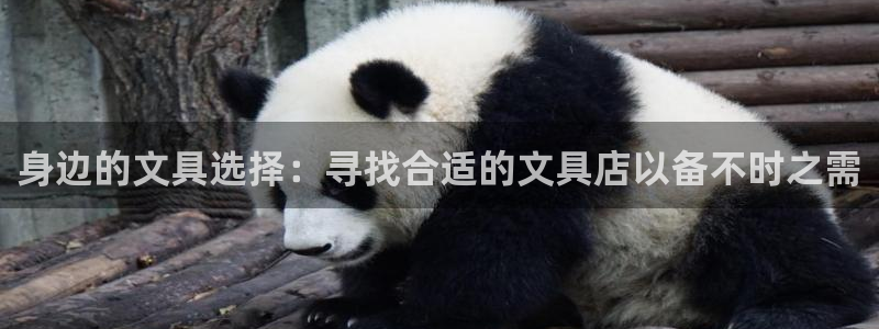 龙八国际平台可靠吗：身边的文具选择：寻找