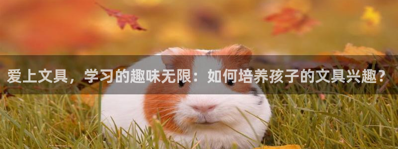 龙八国际app手机端：爱上文具，学习的趣