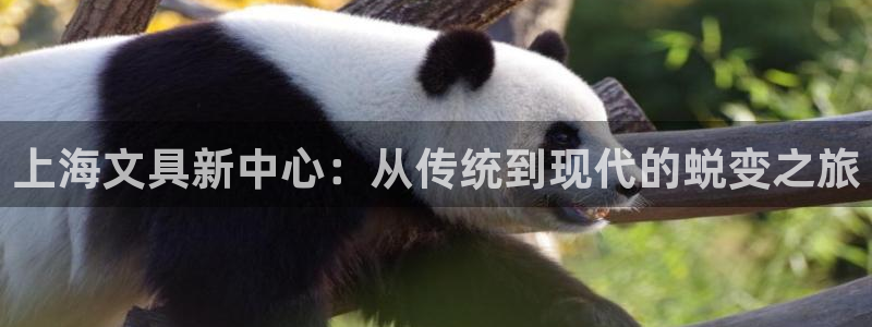 龙八国际视频入口：上海文具新中心：从传统