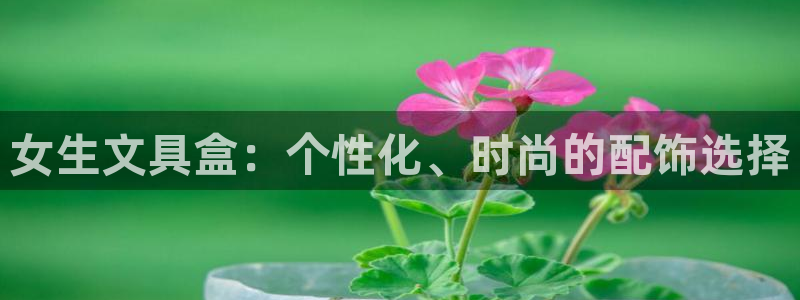 龙八国际黑吗：女生文具盒：个性化、时尚的