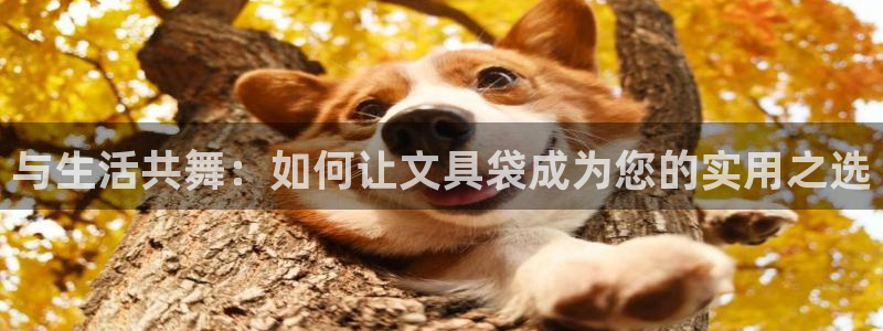 龙八国际客户端下载苹果：与生活共舞：如何