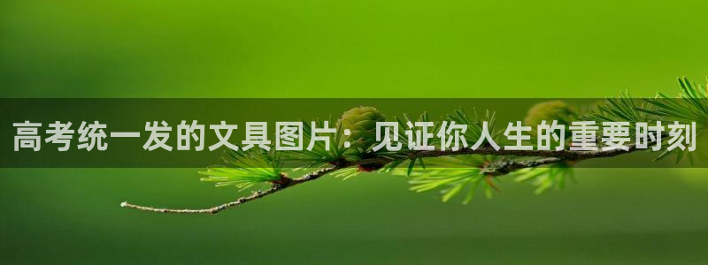 龙八国际官网网址：高考统一发的文具图片：