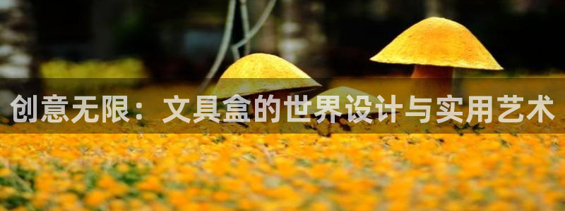 龙八国际手机下载地址：创意无限：文具盒的