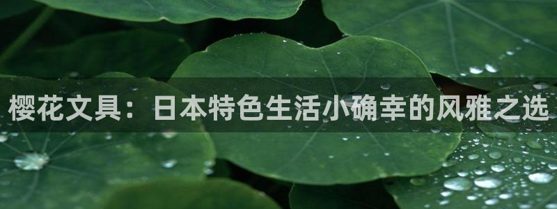 龙八国际娱乐网页多少：樱花文具：日本特色