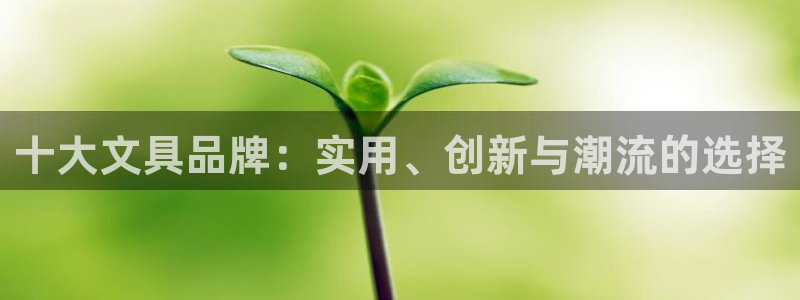 龙八国际app下载：十大文具品牌：实用、