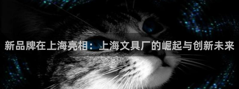 菲律宾龙八国际杀猪：新品牌在上海亮相：上