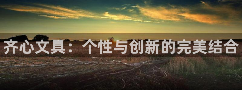 龙八国际兑换码：齐心文具：个性与创新的完