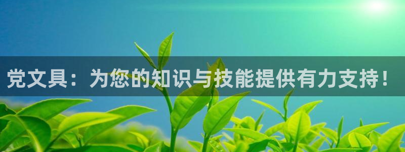 龙八国际网页版本：党文具：为您的知识与技