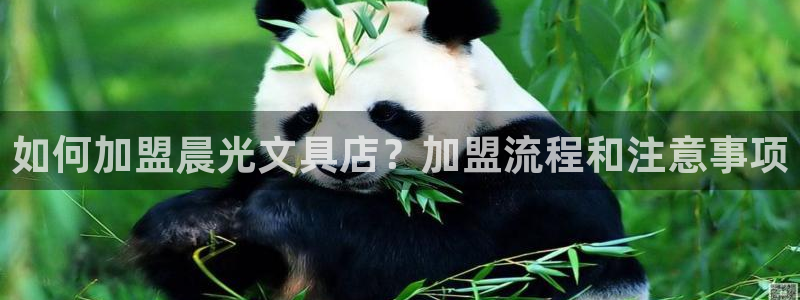 下载龙八国际手机版手游：如何加盟晨光文具