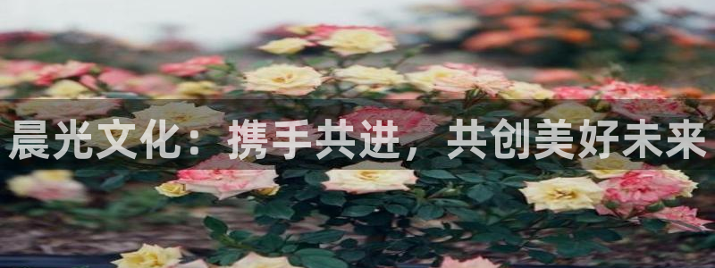 龙八国际pT娱乐官网：晨光文化：携手共进