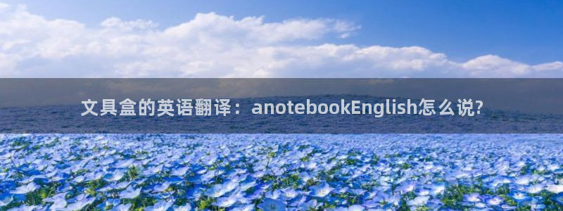 龙八国际手游：文具盒的英语翻译：anot