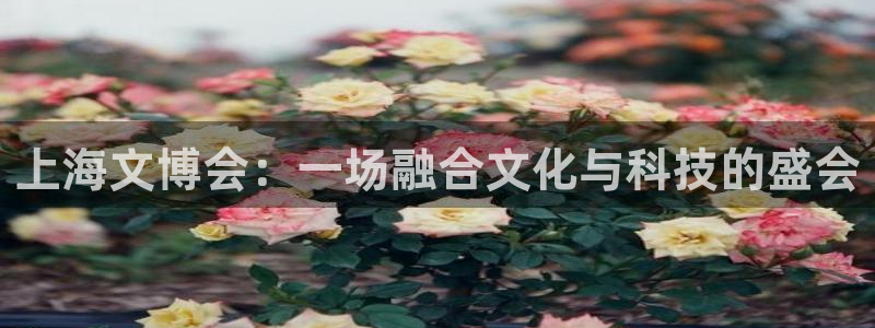 苹果怎么下载龙八国际：上海文博会：一场融