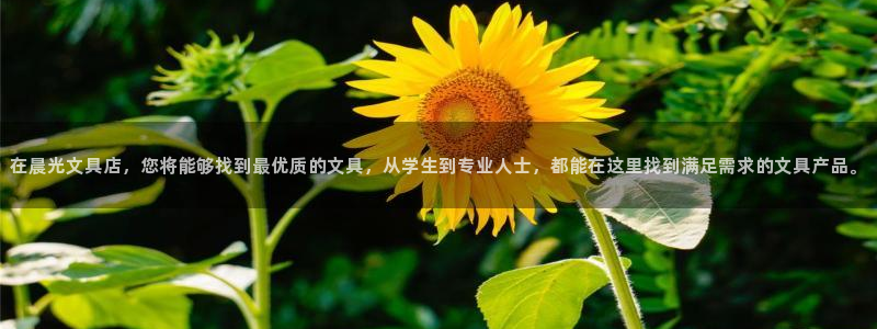 下载龙八国际手机版：在晨光文具店，您将能