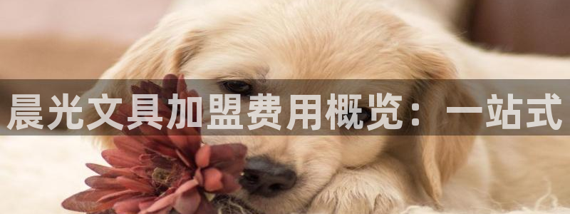 龙八国际集团有限公司：晨光文具加盟费用概