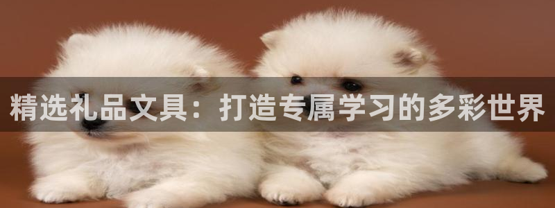 龙八国际娱乐平台：精选礼品文具：打造专属