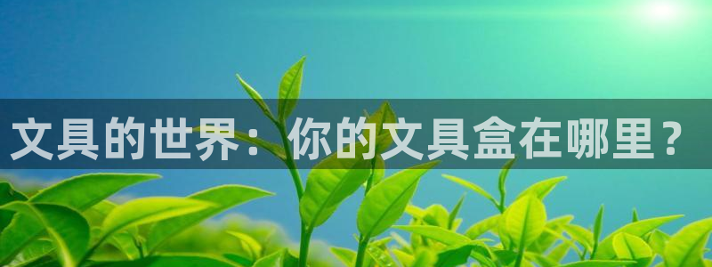 龙八国际娱乐老虎机：文具的世界：你的文具