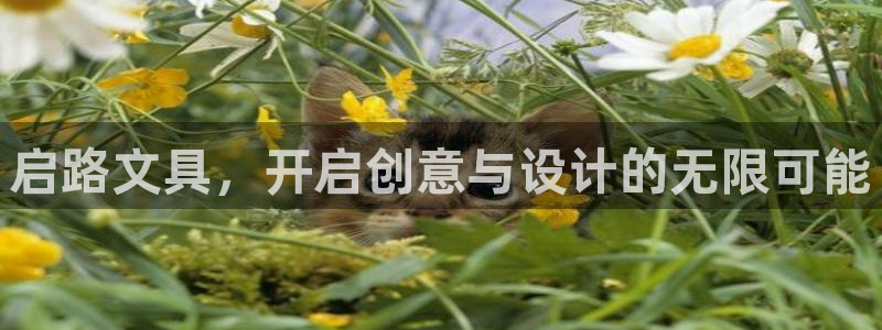 龙八国际app客户下载：启路文具，开启创