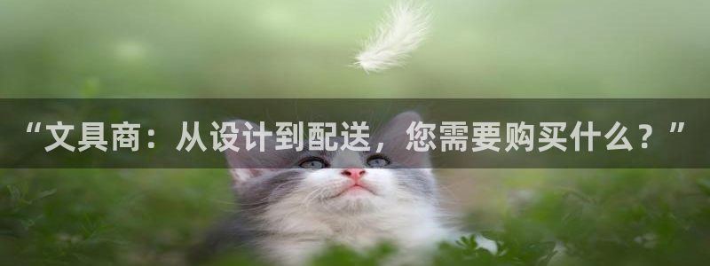 龙八国际是什么软件：“文具商：从设计到配