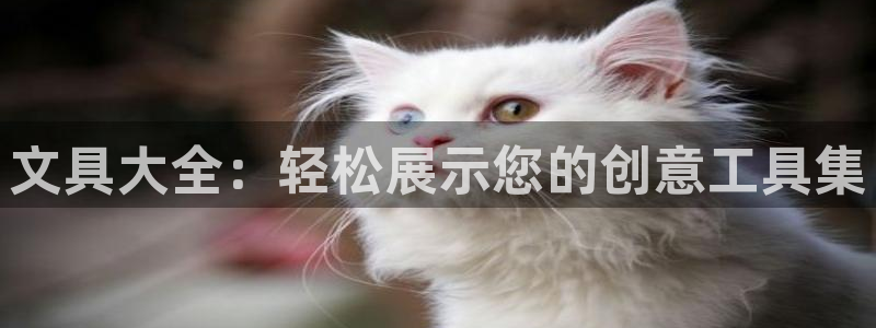 龙八国际头号玩家是谁啊：文具大全：轻松展