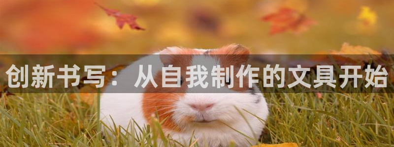 龙八国际官网首页：创新书写：从自我制作的