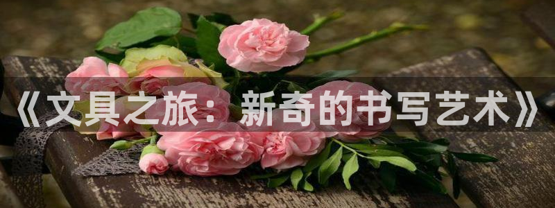 龙八国际平台yb48点top：《文具之旅