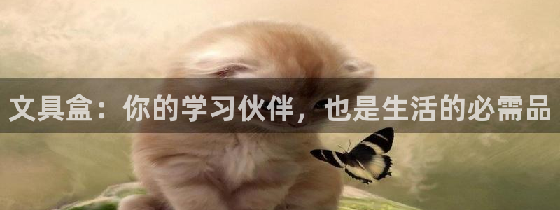 龙八国际平台首页：文具盒：你的学习伙伴，