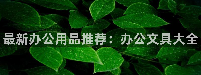 龙八国际pt客户端：最新办公用品推荐：办