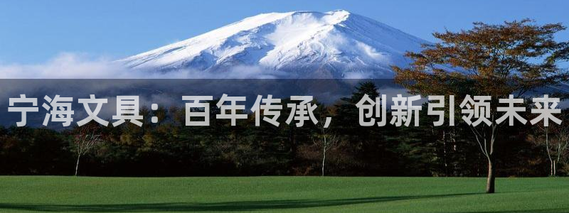 龙八国际娱乐App客户端下载：宁海文具：