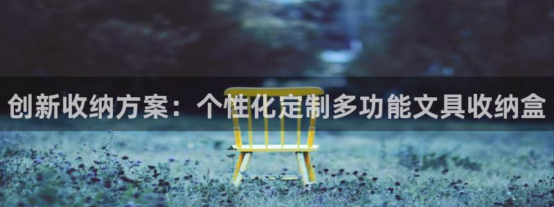 龙八国际网页：创新收纳方案：个性化定制多