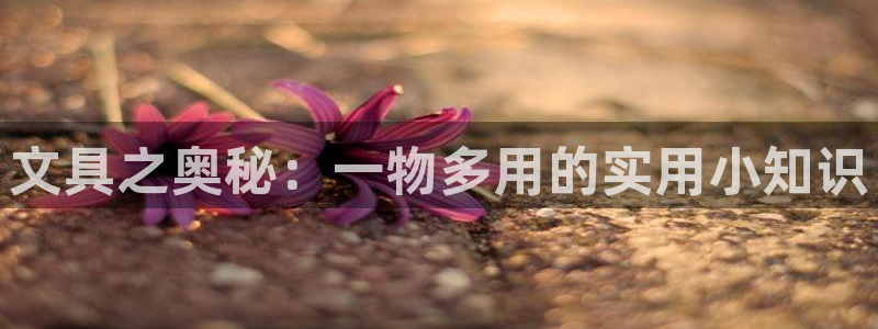 龙八国际App下载地址：文具之奥秘：一物