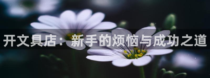 龙八国际城网站：开文具店：新手的烦恼与成