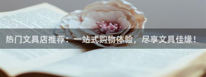 龙八国际公司是真是假：热门文具店推荐：一