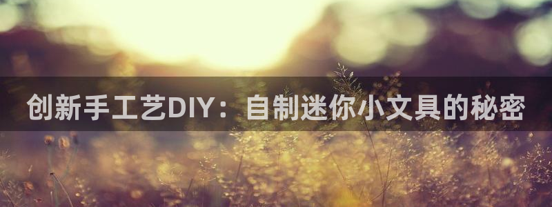 菲律宾龙八国际：创新手工艺DIY：自制迷