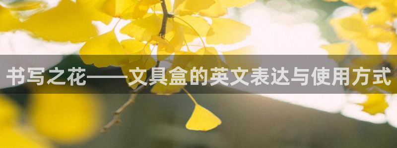 龙八国际地址：书写之花——文具盒的英文表