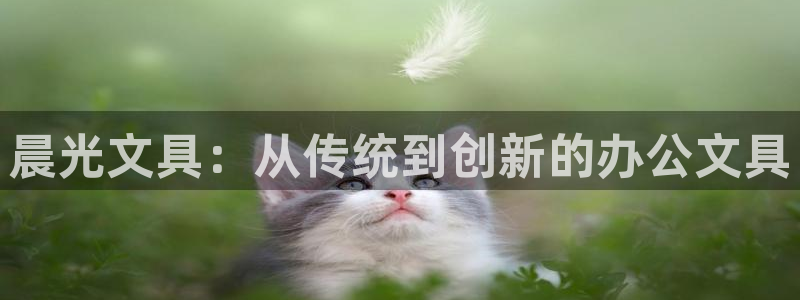 龙八国际游戏下载：晨光文具：从传统到创新