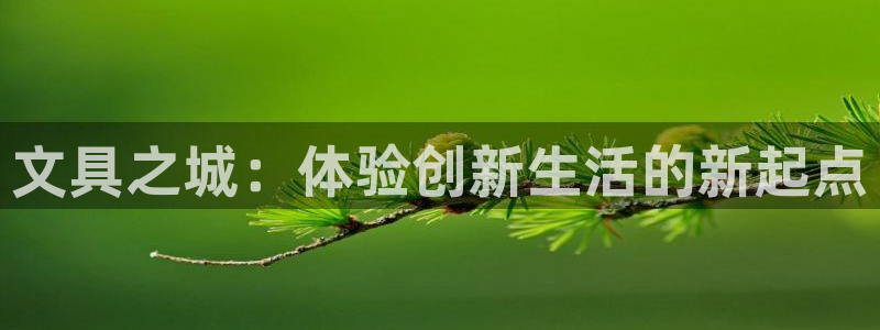 龙八国际 long5658.com：文具