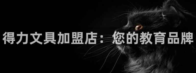 龙八国际游戏：得力文具加盟店：您的教育品