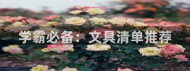 龙八国际官方：学霸必备：文具清单推荐