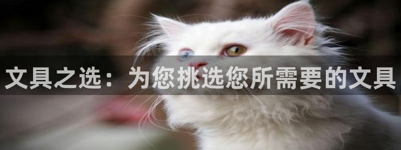 龙八国际手游：文具之选：为您挑选您所需要